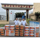 中华护农|中华财险绥宁县支公司捐赠防疫物资 护航秋粮丰收