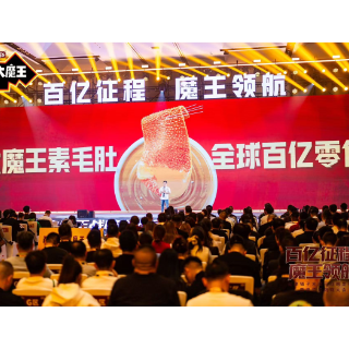 盐津铺子发布“大魔王战略” 定义中国风味零食新未来