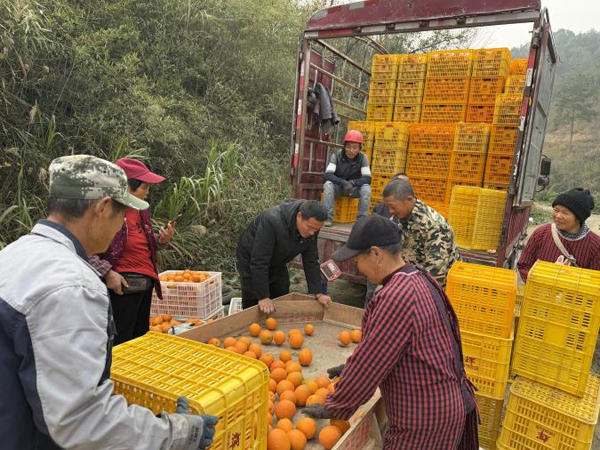 图片2.png 图片2.png