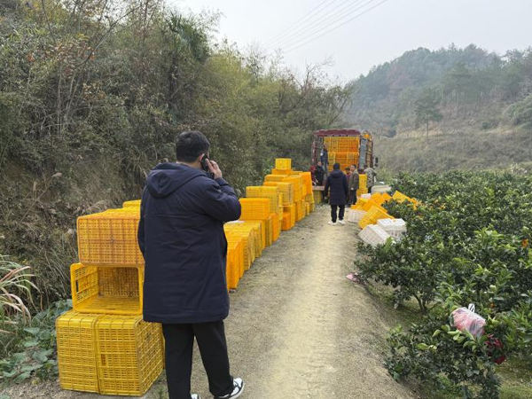 图片3.png 图片3.png