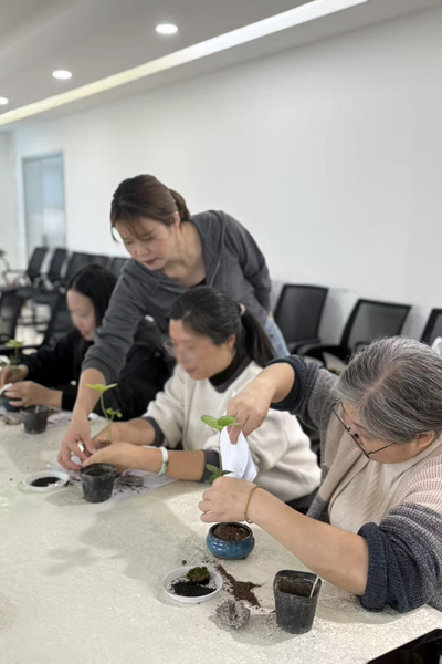 图片1.jpg 图片1.jpg