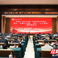 深化“五篇大文章”践行“七大保险” 湖南保险业调研报告会在长沙举行