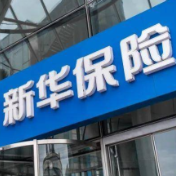 市值创近8年来新高！新华保险斩获市值管理、公司治理等奖项