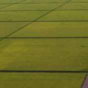 湖南巨灾高标农田保险落地宁乡 提供7.2亿元风险保障