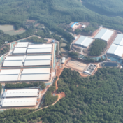 新五丰:破局“猪周期”的国资智慧