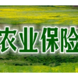 农险服务“掌上办” 湖南全省推行承保理赔线上化
