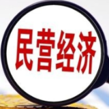 如何读懂民营经济促进法的“含金量”？