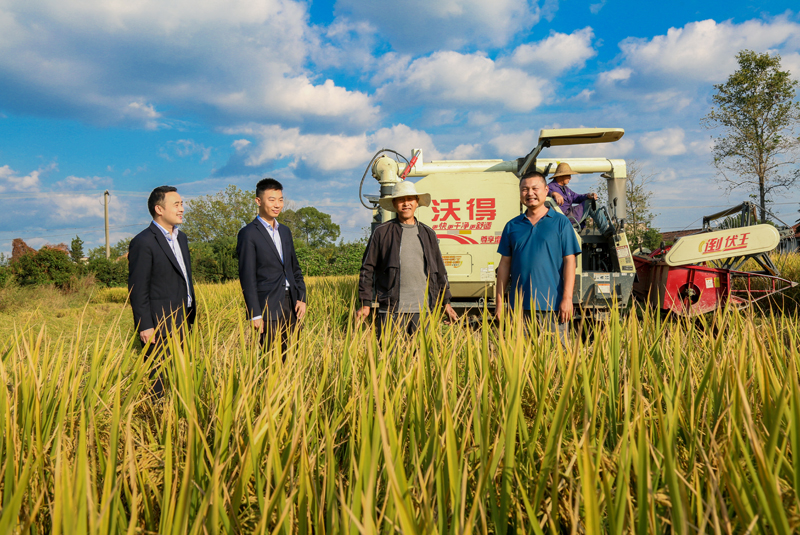 湖南农信系统工作人员深入田间地头走访助农.jpg
