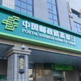 邮储银行长沙县支行携手中邮保险打造亲子徒步嘉年华 守护客户健康与财富