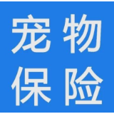 看病比人贵 宠物保险靠不靠谱？