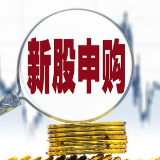 本周仅一只科创板新股开启申购