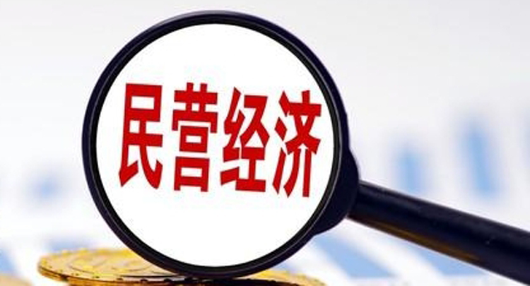 国家税务总局：前四个月民营经济活力持续提升}