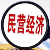 国家税务总局：前四个月民营经济活力持续提升