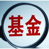 年内清算基金数量超130只