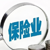 保险行业协会印发方案 推进保险业社会信用体系建设