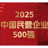 民营企业500强 含“新”量越来越高