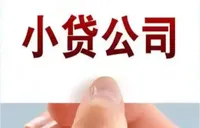继续减量提质！湖南今年来约10家小贷公司被注销