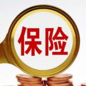 2025年超80家险企“将帅”变更！专业型人才受青睐