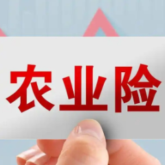 2025年我国农业保险保费规模突破1550亿元