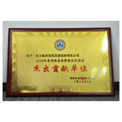 爱尔眼科荣膺湖南品牌建设“2025年度杰出贡献单位”称号