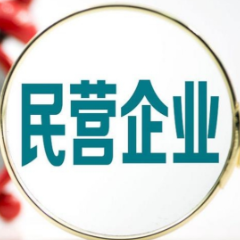 热议“新春第一会”｜大湖股份罗订坤：湖南民营企业的发展春天就在眼前