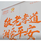 2025年开展近200场!湖南平安人寿 “敬老孝道·湘爱平安”公益志愿活动温暖三湘