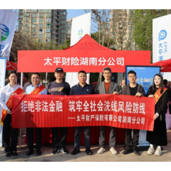 太平财险湖南分公司开展“烟花下的消保”宣教活动