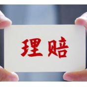 AI“胡说八道”后，找谁理赔？