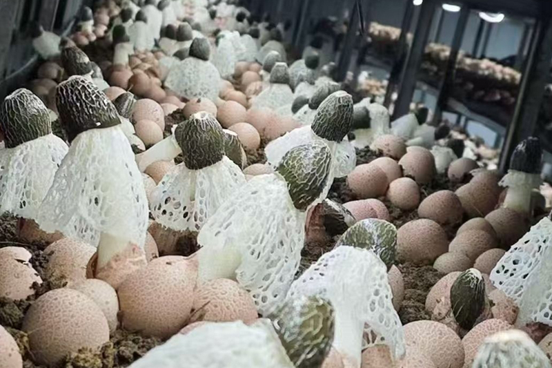 图片2.jpg 图片2.jpg