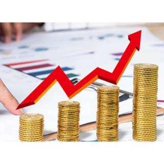 金杯电工加速出海 盈利能力5年翻番