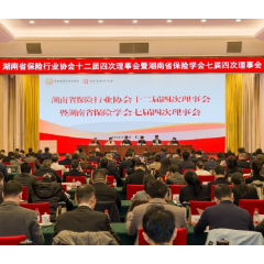 湖南省保险行业协会十二届四次理事会暨湖南省保险学会七届四次理事会召开