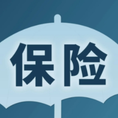 保费增长超四成 科技保险发展驶入快车道