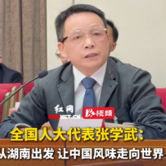 视频｜全国人大代表张学武：从湖南出发 让中国风味走向世界 