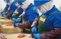 擦亮湘味新名片 中信银行长沙分行助力现代服务业焕新前行