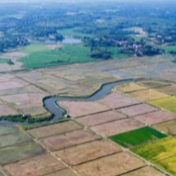 国家金融监督管理总局发布《关于做好2026年金融支持乡村全面振兴工作的通知》