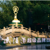 武陵酒超级品牌日长沙启幕 发布上酱1952 