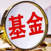 “日光基”频现，国有大行开启严选模式