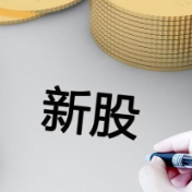 上市首日涨超15倍!A股年内首日表现最强新股诞生