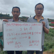 给小龙虾上“保险”  阳光财险湖南分公司护航特色产业发展