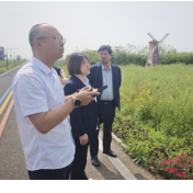 中华财险南县支公司运用无人机查勘技术 高效应对油菜倒伏情况
