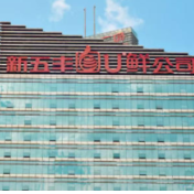 新五丰召开2025年度暨2026年第一季度业绩说明会