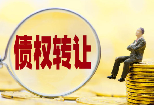 债权转让丨湖南张家界大成山水国际大酒店有限公司单户债权项目