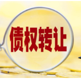 债权转让丨湖南张家界大成山水国际大酒店有限公司单户债权项目