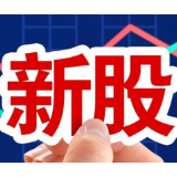 年内“最贵新股”上市首日大涨,中一签浮盈45万元