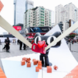 天猫家装双11再加速，内容化与本地化迈出关键一步