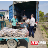 10万斤生态莲藕终于不愁销路了 农户：“湘农荟”平台真好！