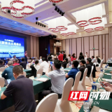 共论后疫情时代的行业发展 大王椰·杭长家装名企高峰会在长沙举行