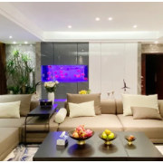 追求精致生活与幸福感 家电消费看颜值