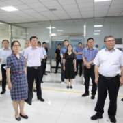 国家知识产权局调研霸州（家具）知识产权快速维权中心