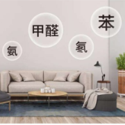 零醛硅藻涂料 环保家装好选择